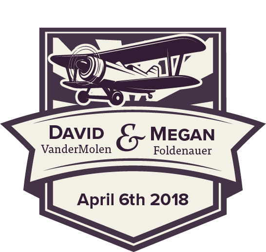 David & Megan's Wedding Celebration: Come Fly with Us on April 6th 2018!